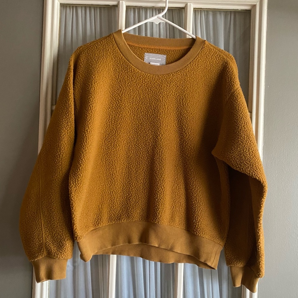 Everlane renew fleece Teddy sweatshirt